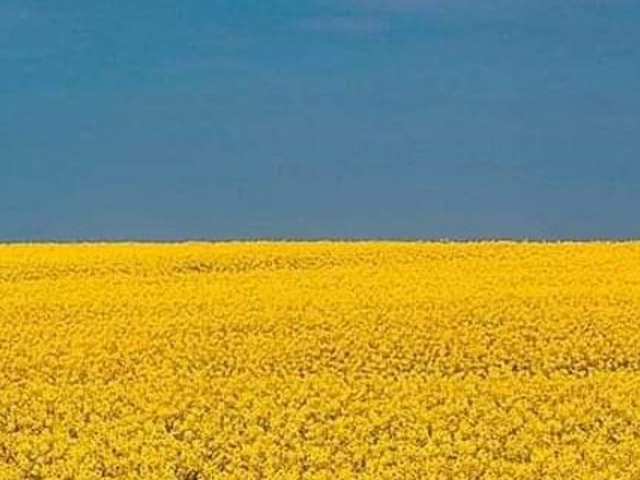 https://icaro.icaromediagroup.com/system/images/photos/14995509/original/open-uri20220507-21-60ct9o?1651942000