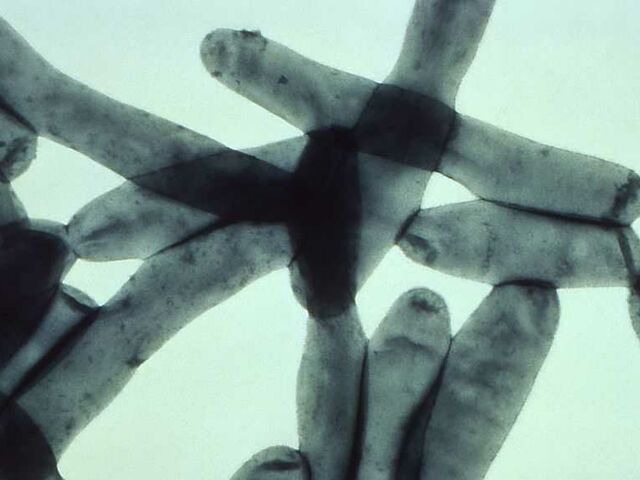 https://icaro.icaromediagroup.com/system/images/photos/15856100/original/open-uri20231102-56-7aqe1c?1698955561