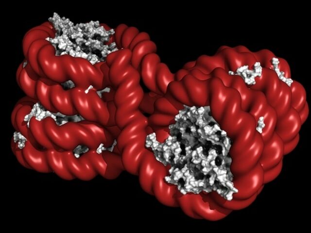 https://icaro.icaromediagroup.com/system/images/photos/15858430/original/open-uri20231103-56-ygd62x?1699046290