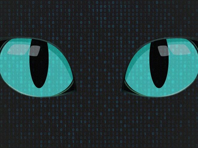 https://icaro.icaromediagroup.com/system/images/photos/15885466/original/open-uri20231118-17-1tsifei?1700340387
