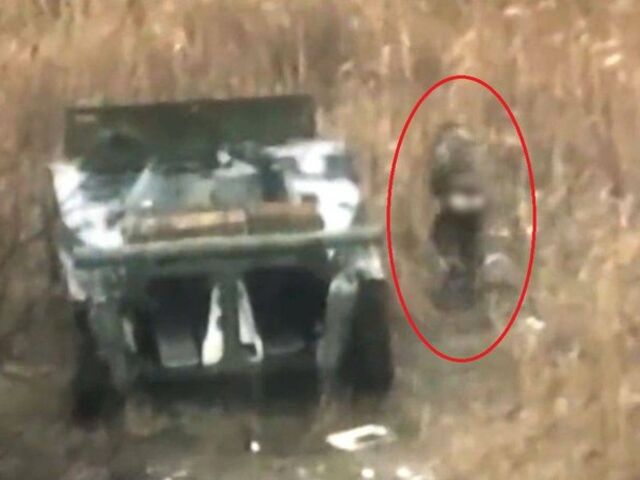 https://icaro.icaromediagroup.com/system/images/photos/15895043/original/open-uri20231123-55-rozpxj?1700768569