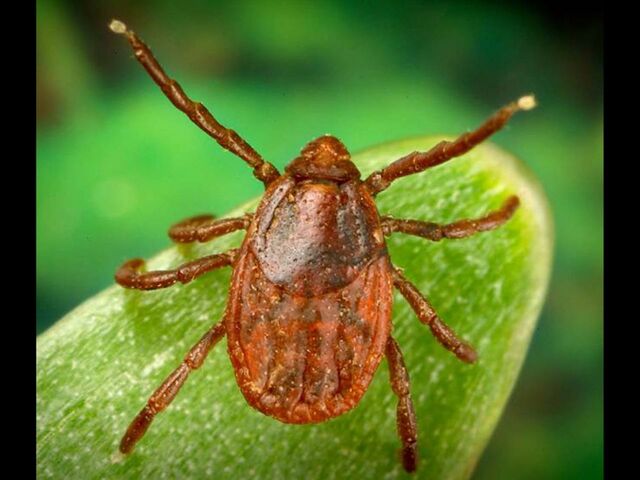 https://icaro.icaromediagroup.com/system/images/photos/15895197/original/open-uri20231123-55-p2cbf8?1700772931