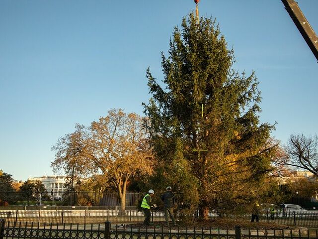 https://icaro.icaromediagroup.com/system/images/photos/15904568/original/open-uri20231128-56-16g4wrm?1701212158