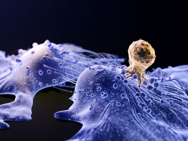 https://icaro.icaromediagroup.com/system/images/photos/15906663/original/open-uri20231129-56-1rksasl?1701291575
