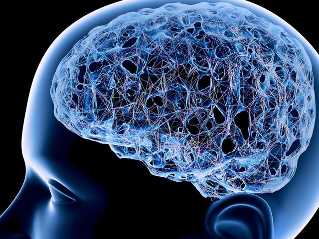 https://icaro.icaromediagroup.com/system/images/photos/15909184/original/open-uri20231130-56-1dp9tw9?1701381341