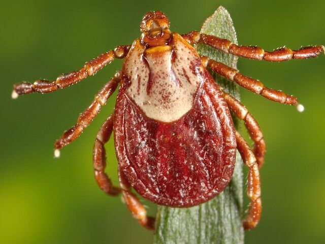 https://icaro.icaromediagroup.com/system/images/photos/15926582/original/open-uri20231209-55-1f3fieu?1702146852