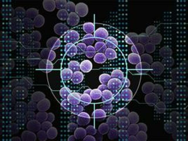 https://icaro.icaromediagroup.com/system/images/photos/15951138/original/open-uri20231221-18-oeo1w?1703197505