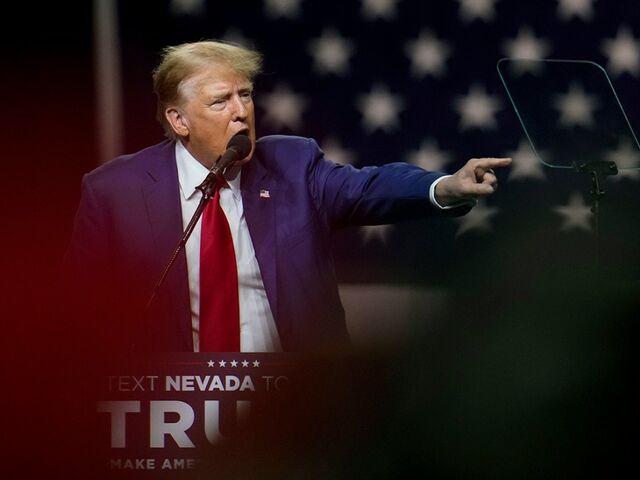 https://icaro.icaromediagroup.com/system/images/photos/15966514/original/open-uri20231231-18-1rankph?1704049993