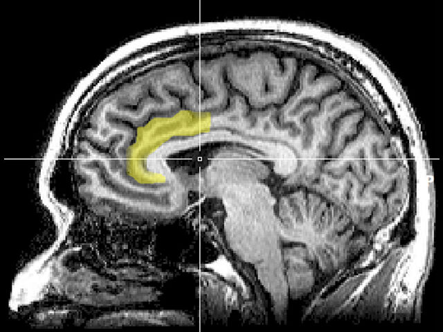 https://icaro.icaromediagroup.com/system/images/photos/15983177/original/open-uri20240109-18-1mvvhec?1704841196