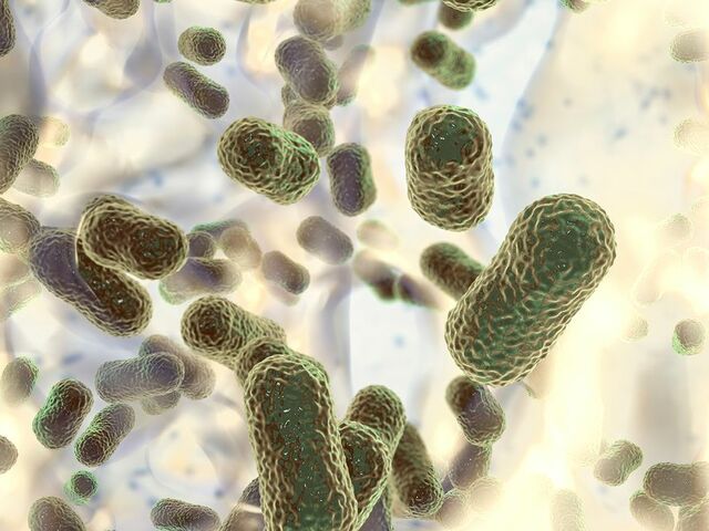 https://icaro.icaromediagroup.com/system/images/photos/15989272/original/open-uri20240112-18-157y83f?1705092934
