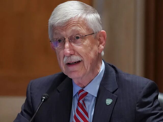 https://icaro.icaromediagroup.com/system/images/photos/15994061/original/open-uri20240115-18-p5e4kz?1705362621
