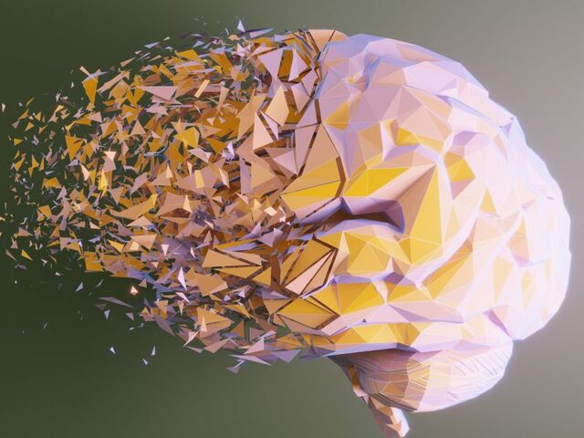https://icaro.icaromediagroup.com/system/images/photos/16012073/original/open-uri20240124-56-1i5ooqu?1706135855