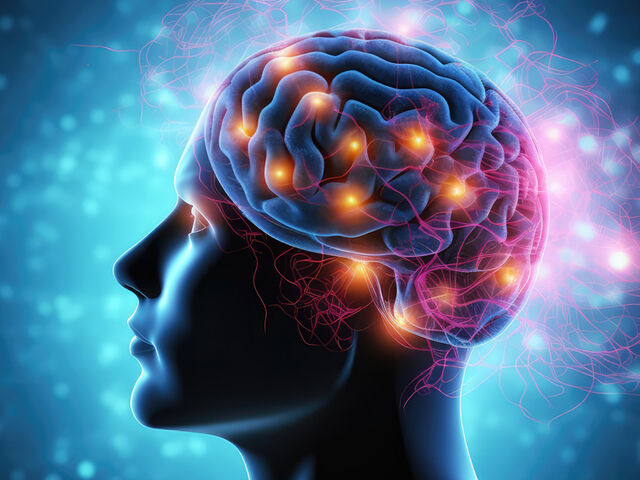 https://icaro.icaromediagroup.com/system/images/photos/16046074/original/open-uri20240209-57-1w4x6re?1707510600