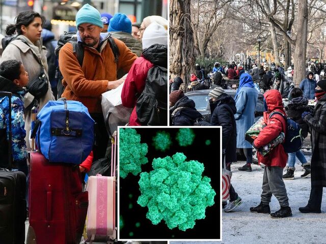 https://icaro.icaromediagroup.com/system/images/photos/16073308/original/open-uri20240224-18-1bq6yp?1708812767