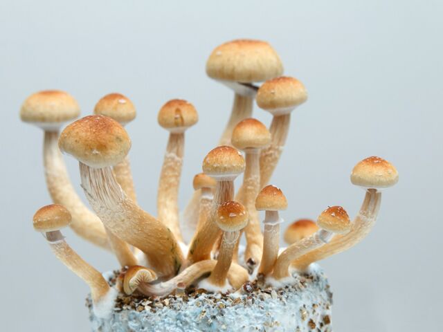 https://icaro.icaromediagroup.com/system/images/photos/16093514/original/open-uri20240306-17-4d2tm4?1709764290
