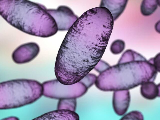 https://icaro.icaromediagroup.com/system/images/photos/16099099/original/open-uri20240309-71-guiq6t?1710024318