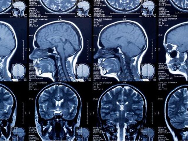 https://icaro.icaromediagroup.com/system/images/photos/16125922/original/open-uri20240324-18-iib295?1711316402
