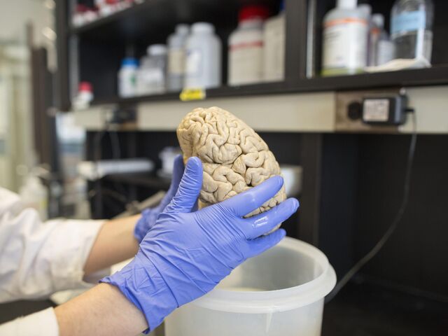 https://icaro.icaromediagroup.com/system/images/photos/16134937/original/open-uri20240329-18-ypaasn?1711751543