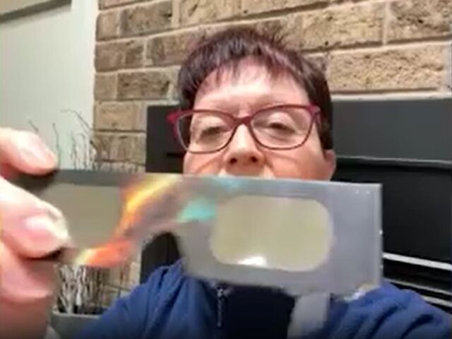 https://icaro.icaromediagroup.com/system/images/photos/16148819/original/open-uri20240406-74-6afzp8?1712438846