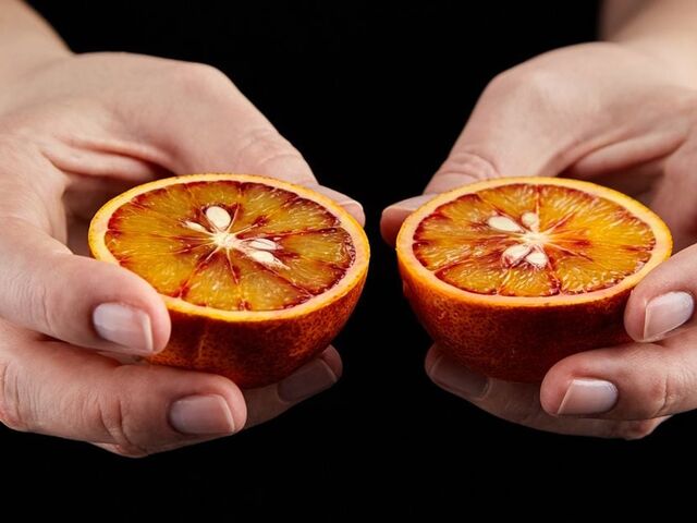 https://icaro.icaromediagroup.com/system/images/photos/16151862/original/open-uri20240408-74-txqz7i?1712606457