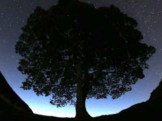 https://icaro.icaromediagroup.com/system/images/photos/16192530/original/open-uri20240430-17-8hql8w?1714509434