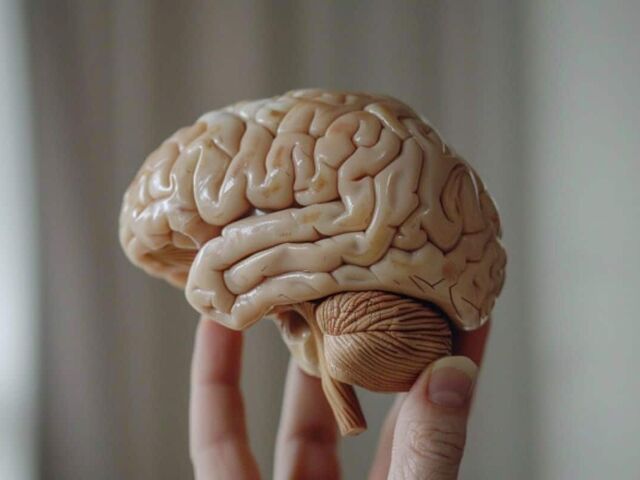 https://icaro.icaromediagroup.com/system/images/photos/16222788/original/open-uri20240521-56-1r5xccr?1716323285