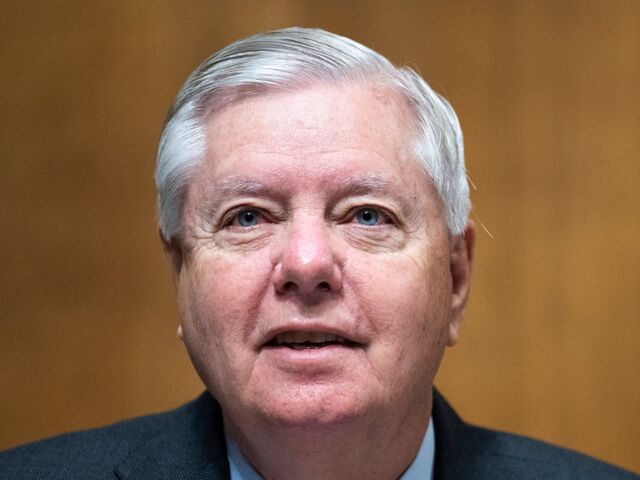 https://icaro.icaromediagroup.com/system/images/photos/16222980/original/open-uri20240521-57-1kmgmts?1716329696