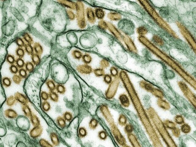 https://icaro.icaromediagroup.com/system/images/photos/16224566/original/open-uri20240522-56-zjnpqe?1716409009
