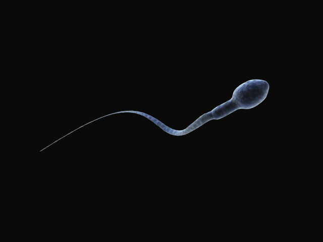 https://icaro.icaromediagroup.com/system/images/photos/16224721/original/open-uri20240522-18-1adt9st?1716414251