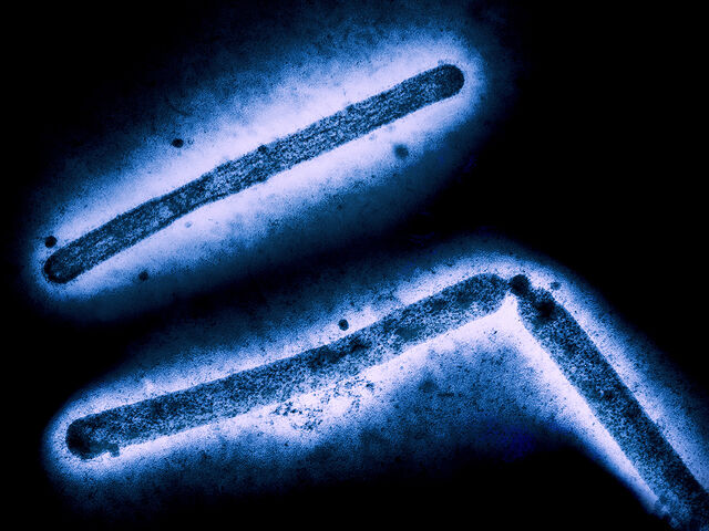 https://icaro.icaromediagroup.com/system/images/photos/16244170/original/open-uri20240605-18-qvd7gy?1717627778