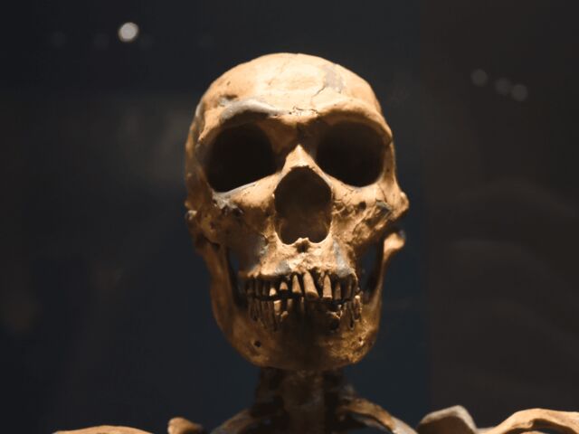https://icaro.icaromediagroup.com/system/images/photos/16257663/original/open-uri20240615-18-157ocm8?1718494838