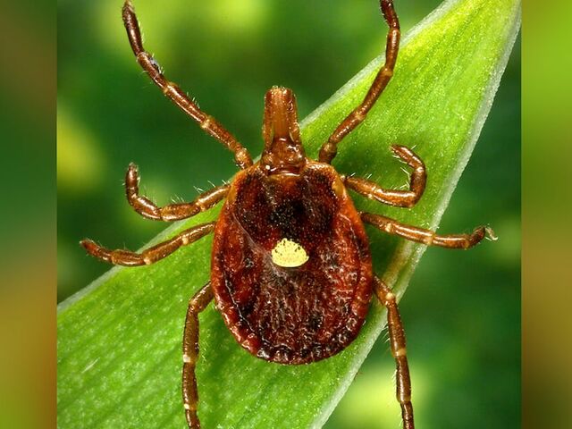 https://icaro.icaromediagroup.com/system/images/photos/16268953/original/open-uri20240624-56-pxpfnb?1719259618