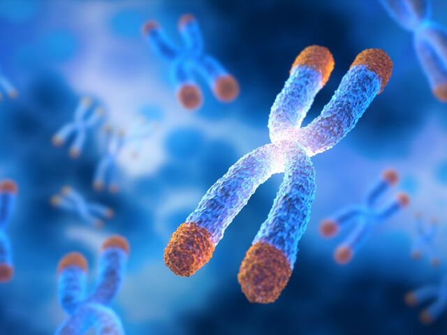 https://icaro.icaromediagroup.com/system/images/photos/16276548/original/open-uri20240629-55-5gclo2?1719699724