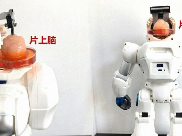 https://icaro.icaromediagroup.com/system/images/photos/16280026/original/open-uri20240702-55-24ozkk?1719957970