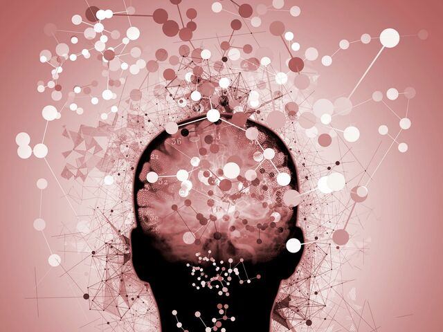 https://icaro.icaromediagroup.com/system/images/photos/16282883/original/open-uri20240704-56-geavq2?1720124771