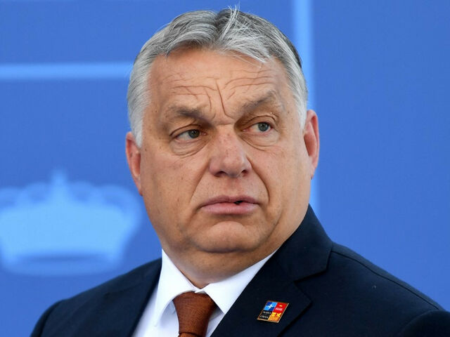 https://icaro.icaromediagroup.com/system/images/photos/16290200/original/open-uri20240711-18-1rfloy5?1720741582