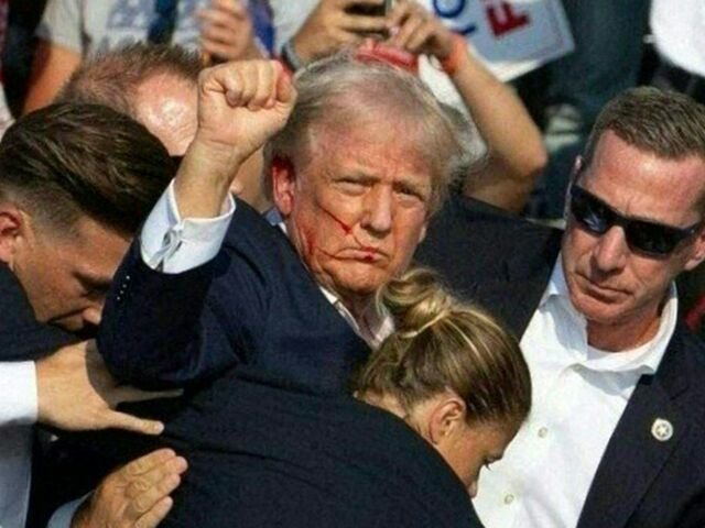 https://icaro.icaromediagroup.com/system/images/photos/16303544/original/open-uri20240726-55-1n6hb4l?1722025011