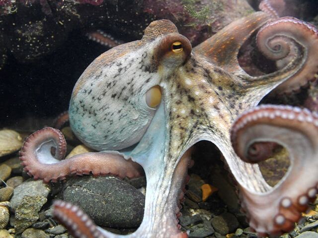 https://icaro.icaromediagroup.com/system/images/photos/16310268/original/open-uri20240802-18-n4dmzg?1722625584