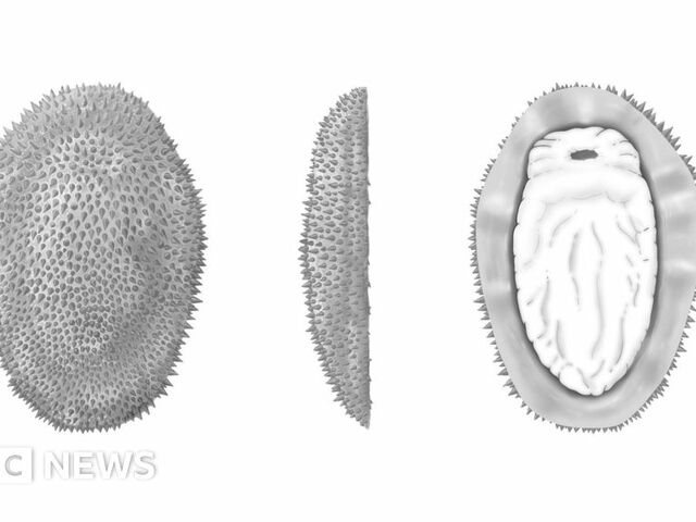 https://icaro.icaromediagroup.com/system/images/photos/16310385/original/open-uri20240802-18-1p1c7xh?1722632246