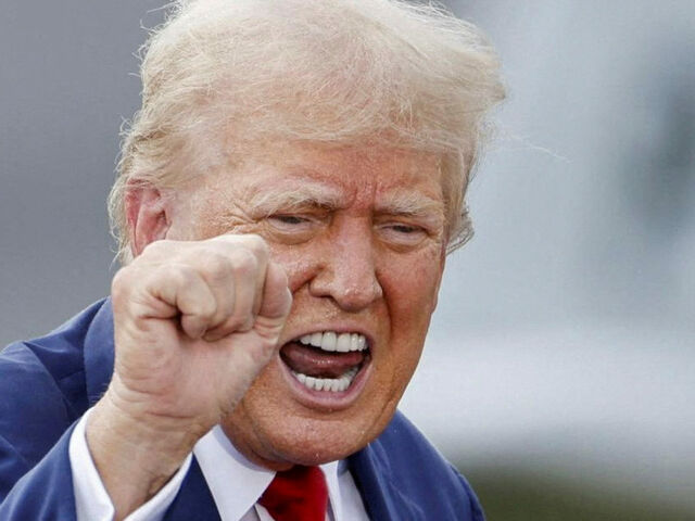 https://icaro.icaromediagroup.com/system/images/photos/16330127/original/open-uri20240823-18-jfqzrn?1724437125