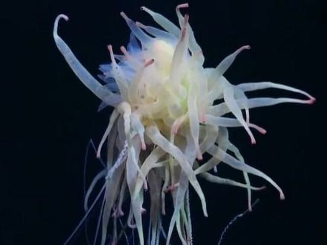 https://icaro.icaromediagroup.com/system/images/photos/16336003/original/open-uri20240829-17-t9wih5?1724958413