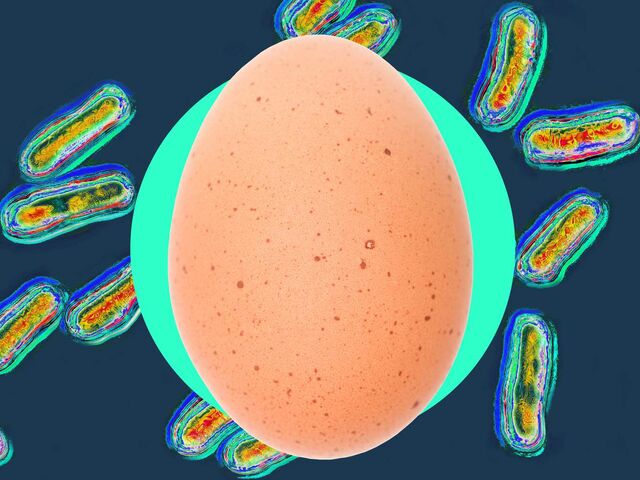 https://icaro.icaromediagroup.com/system/images/photos/16345631/original/open-uri20240910-18-xt4n4?1726002368