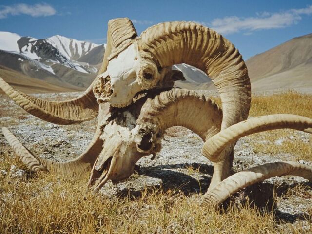 https://icaro.icaromediagroup.com/system/images/photos/16362849/original/open-uri20241002-18-nlta7k?1727906327