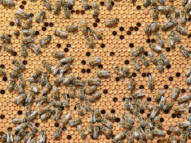 https://icaro.icaromediagroup.com/system/images/photos/16364725/original/open-uri20241004-18-1pbykul?1728085451