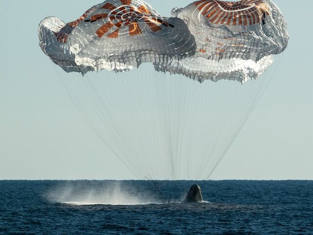 https://icaro.icaromediagroup.com/system/images/photos/16380713/original/open-uri20241024-57-nijd66?1729809293