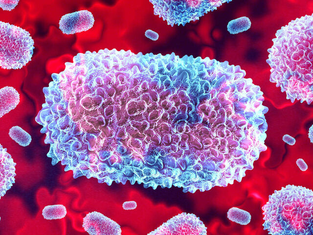 https://icaro.icaromediagroup.com/system/images/photos/16385313/original/open-uri20241030-17-101rz22?1730313888