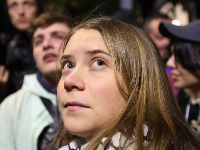 https://icaro.icaromediagroup.com/system/images/photos/16389820/original/open-uri20241104-17-17vxxpi?1730764444