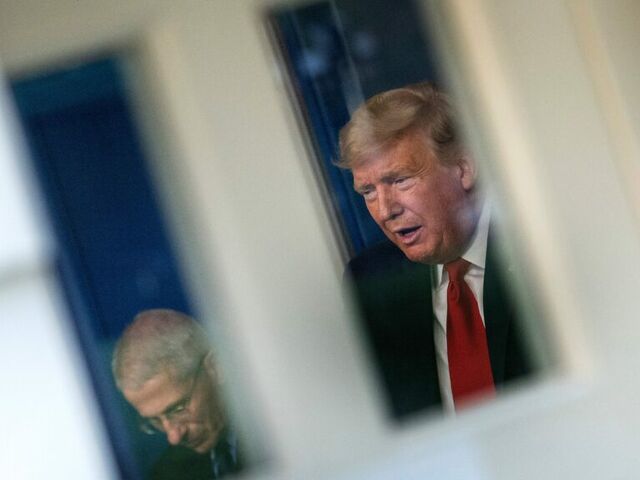 https://icaro.icaromediagroup.com/system/images/photos/16393739/original/open-uri20241108-17-1uay3tc?1731101249