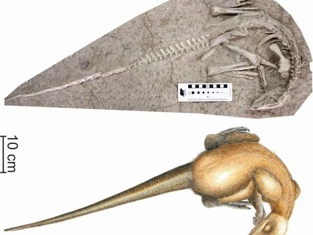 https://icaro.icaromediagroup.com/system/images/photos/16395141/original/open-uri20241110-17-6p4adm?1731276656