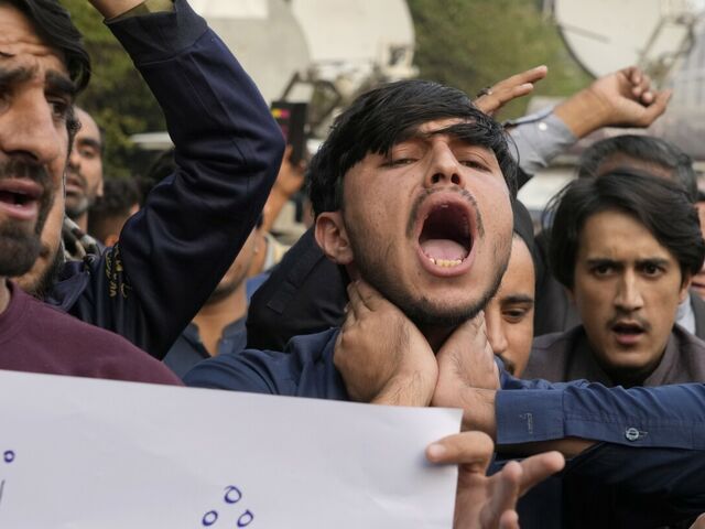 https://icaro.icaromediagroup.com/system/images/photos/16404845/original/open-uri20241123-18-obxiy8?1732383692